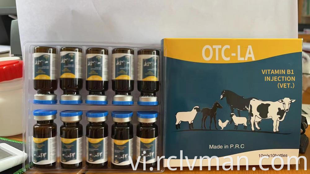 Vitamin B1 Injection 2